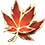 000031.png