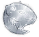 生肖12组